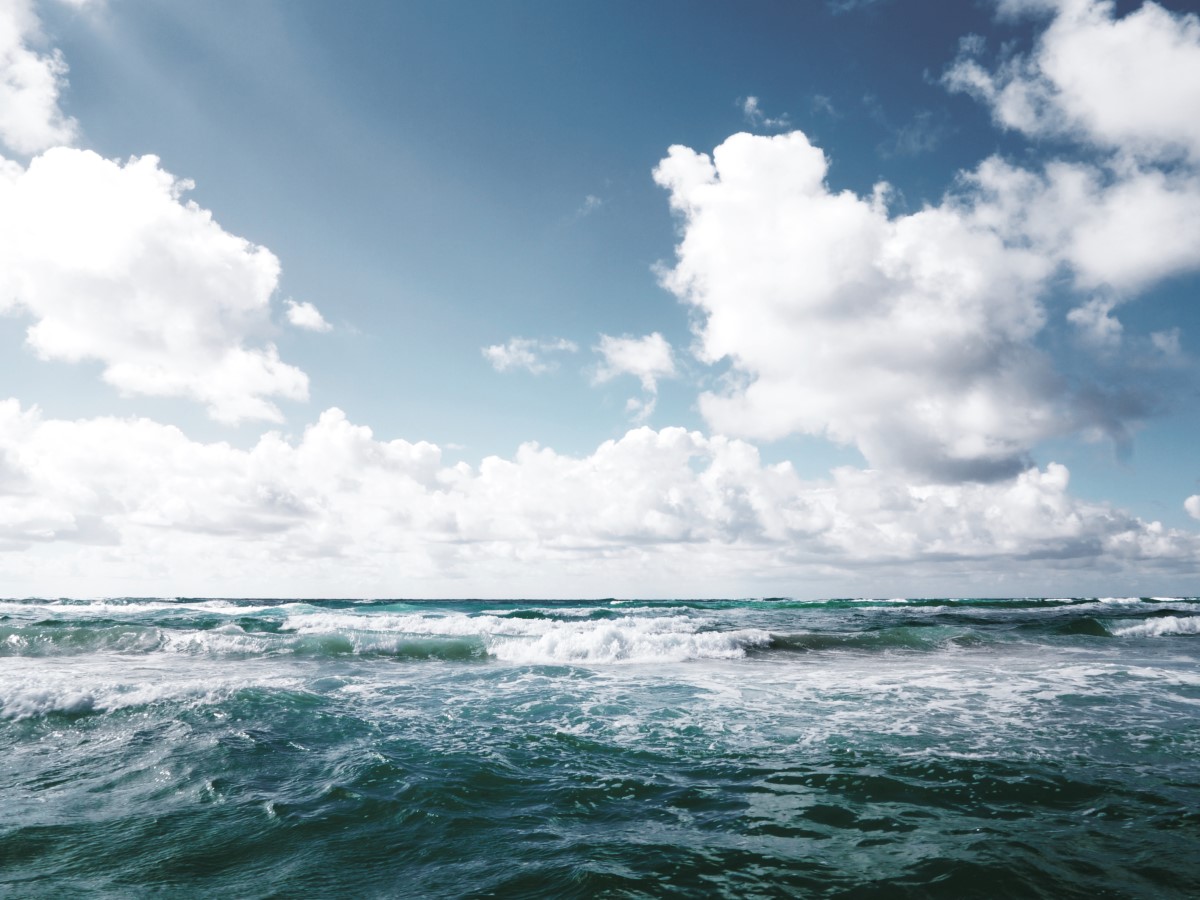 Consumo consciente ajuda na preservação dos oceanos