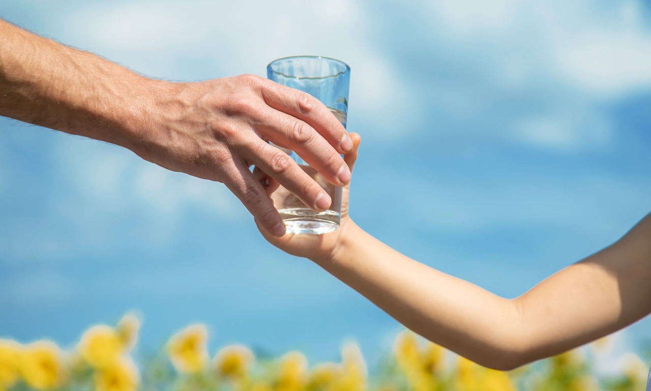 Mais da metade dos lares brasileiros tem água filtrada