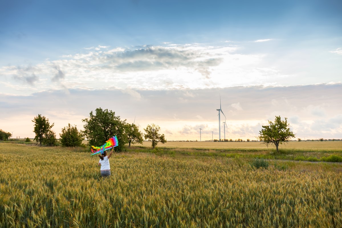 Proteger o meio ambiente