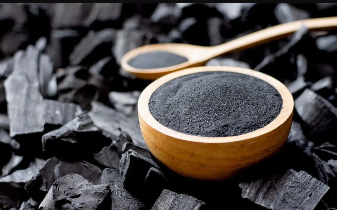 como o carvão ativado age no purificador