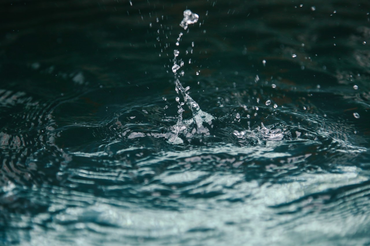 Nitritos e nitratos na água