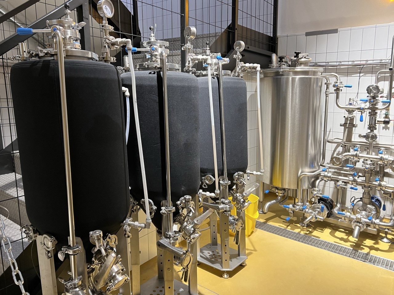 Problemas causados pelo acúmulo de ferro e manganês